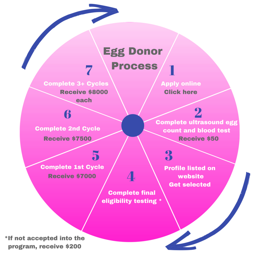 egg-donation-process-northern-california-fertility-medical-center