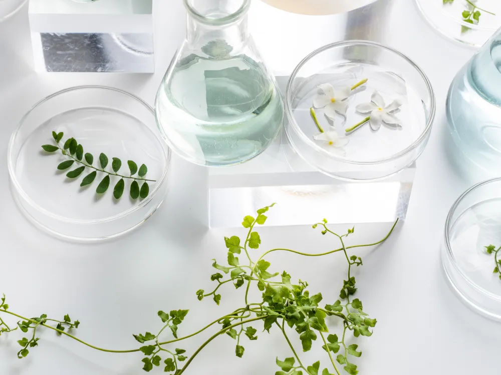 How is Fertility Evaluation Done? A Step-by-Step Guide