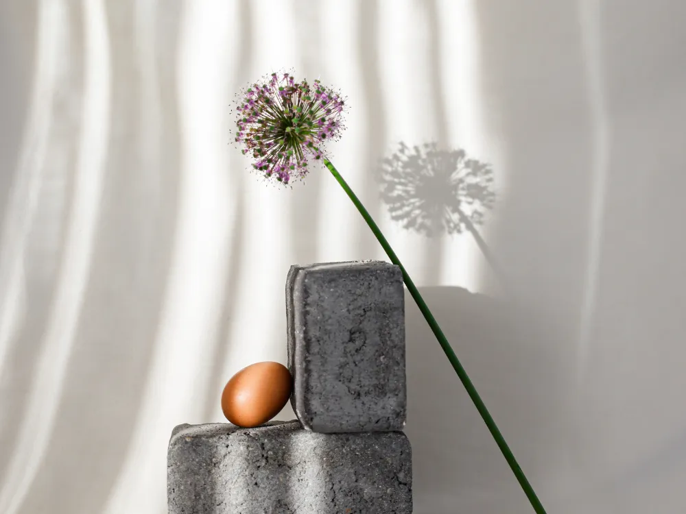 BMI Requirements for Egg Donation: What Donors Need to Know