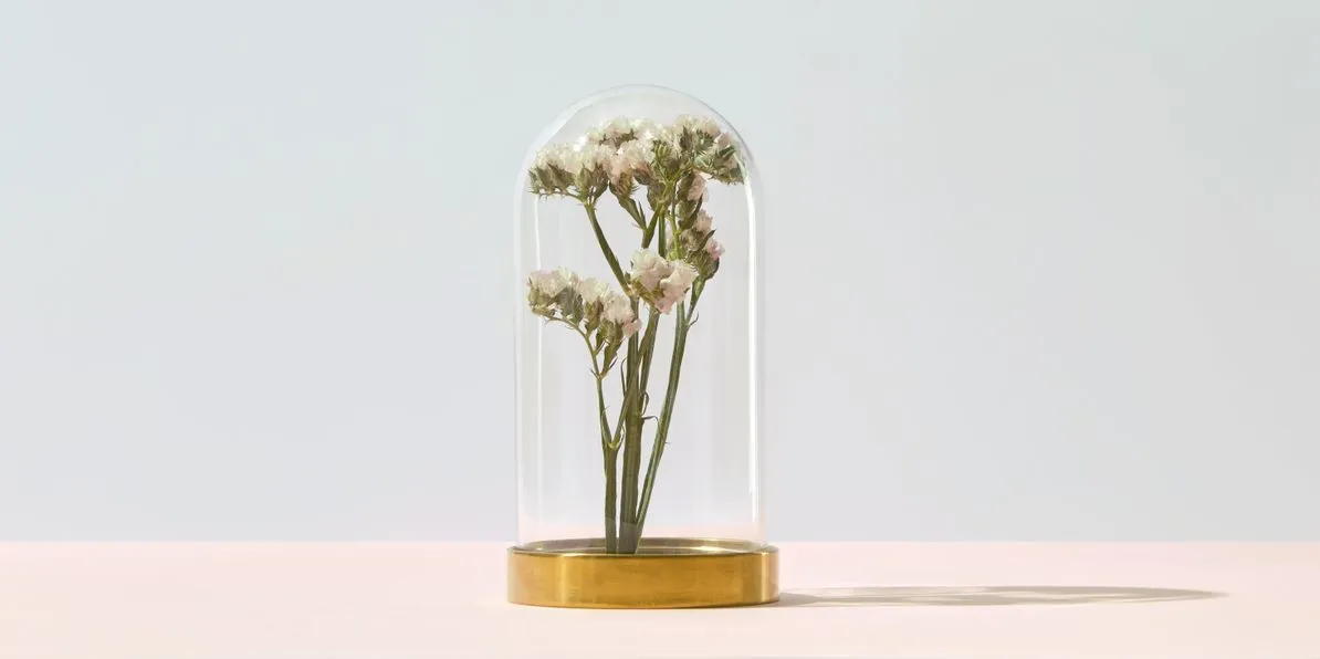 flower under glass dome