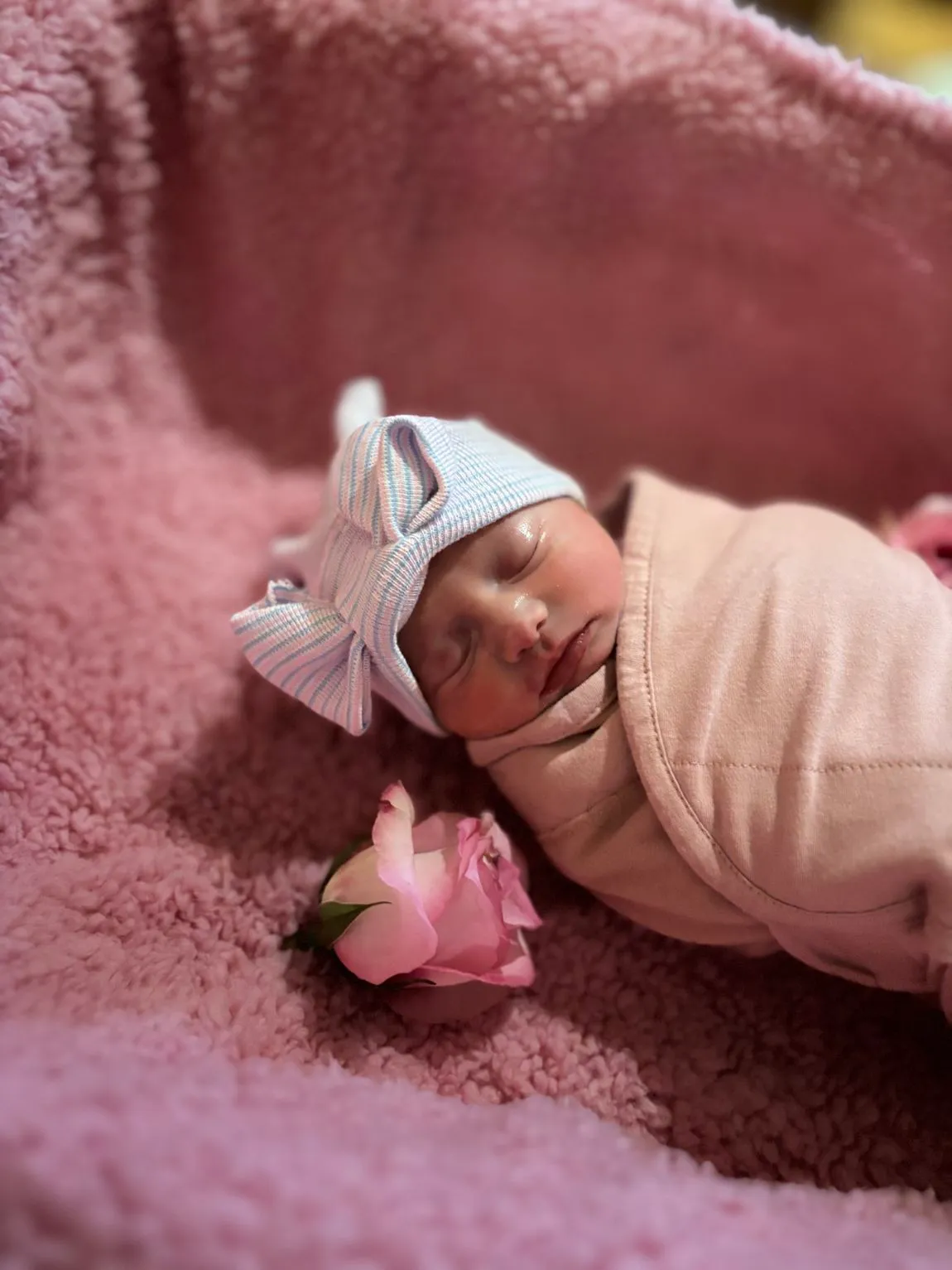 Swaddled baby with pink background