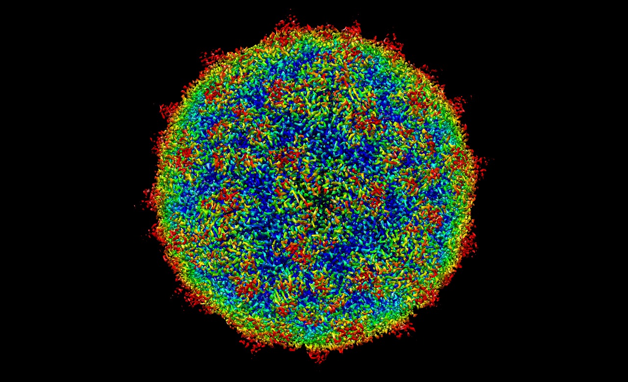 Cytomegalovirus (CMV) and Pregnancy - Northern California IVF1280 x 779