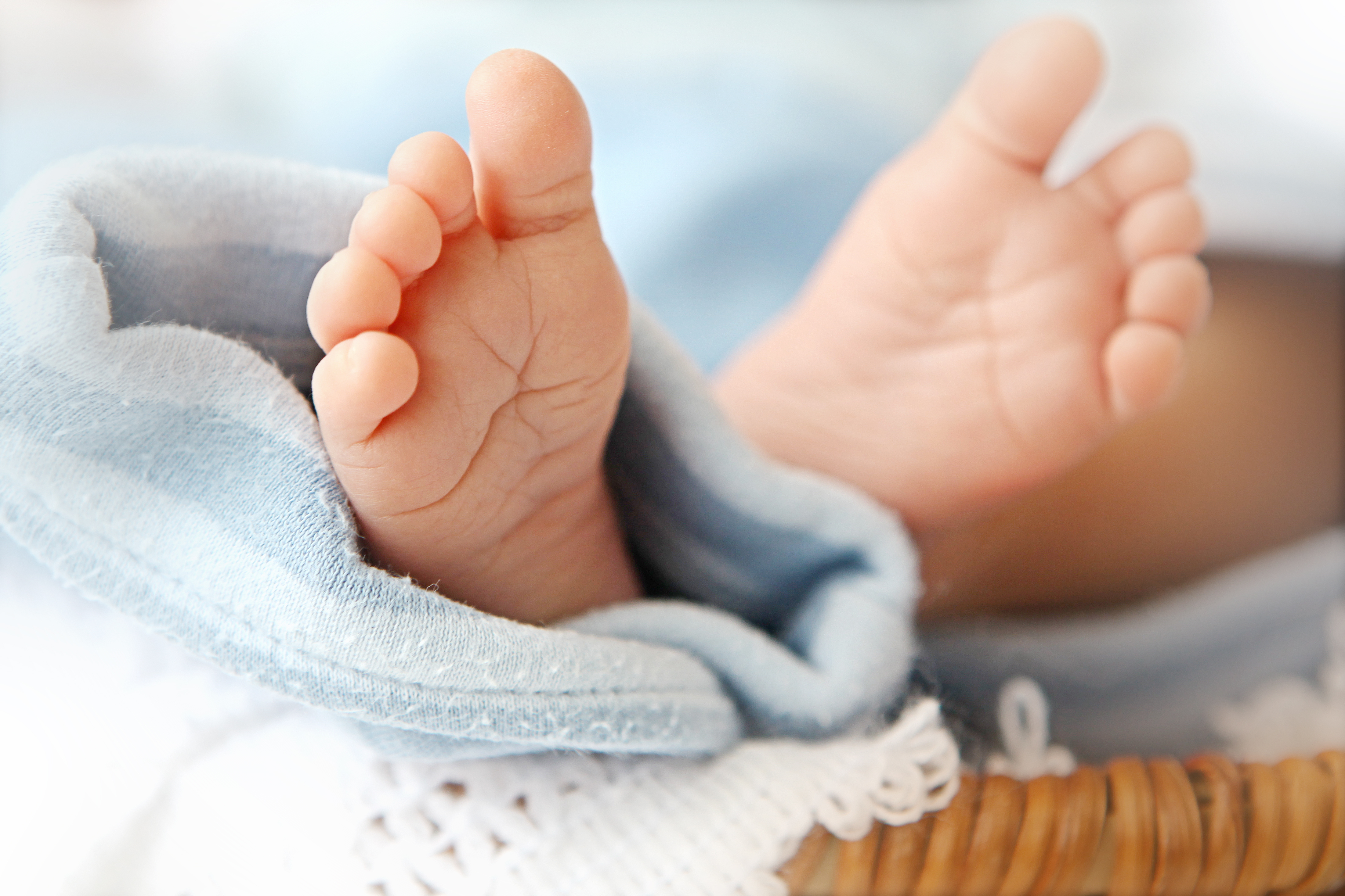 Открытка с ножками новорожденного. Фото ножек новорожденных мальчиков в голубых носках. Фото ножки младенца и синего цветка. День фут