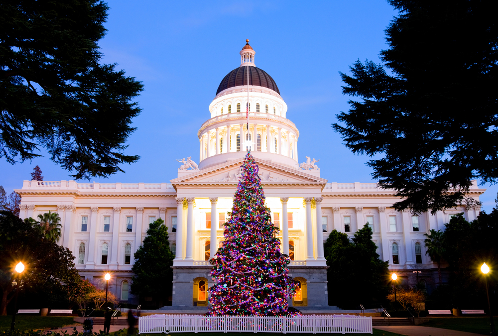 holiday tree in front of the capitol building